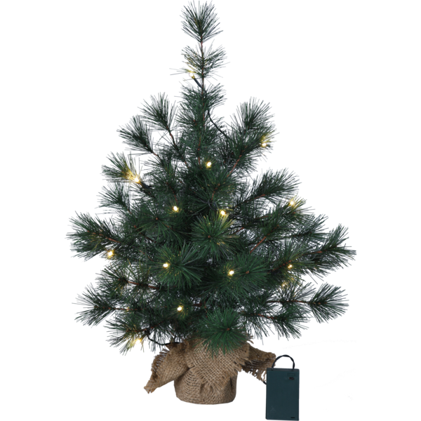 Dekorationsträd Furu