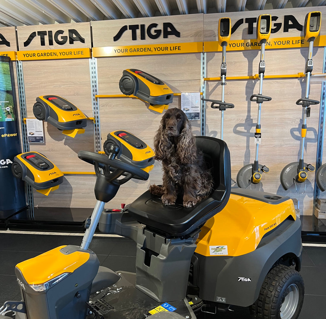 Din Trädgård Online