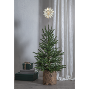 Toppstjärna Flinga 10 Led