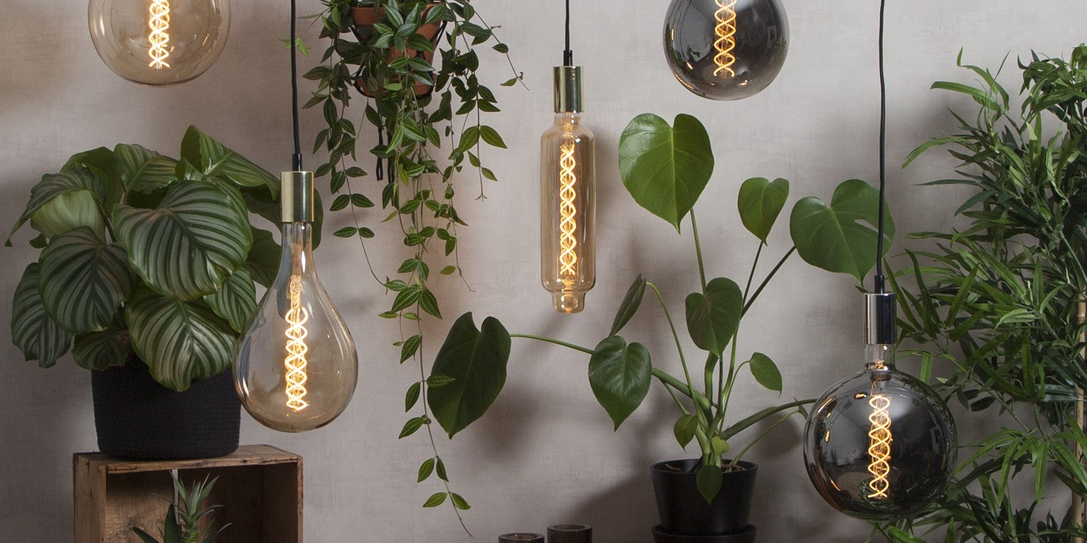 Din Trädgård Online